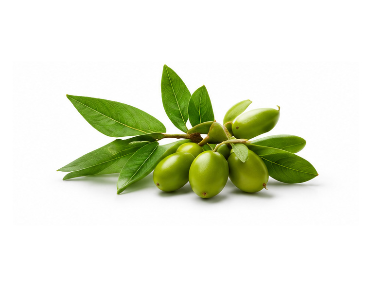 Beta Glucan